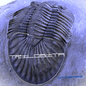 Trilobita