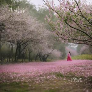 蝶恋花