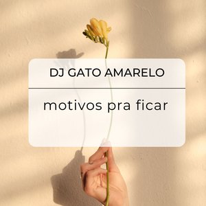 motivos pra ficar
