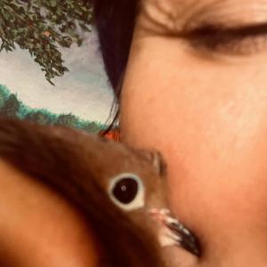 Mars(C) Trine Saturn[F] Meditation I