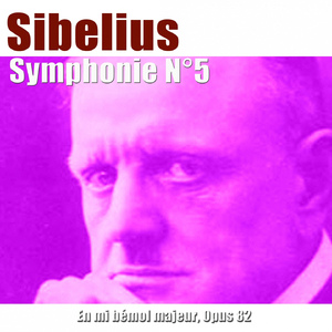 Symphonie No. 5 in E-Flat Major, Op. 82: III. Allegro molto - Largamente assai