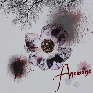 Anemone (Inst.)