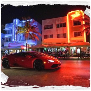 The Crocodile Hunter