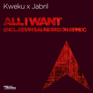 All I Want (Instrumental Mix)
