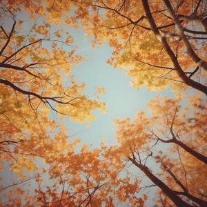 ด้วยใจยินดี by @sunnyharpist824