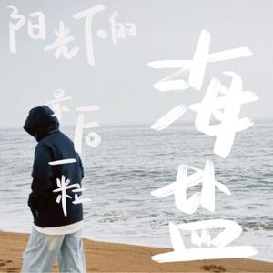 阳光下的最后一粒海盐