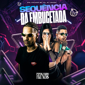 Sequência da Embucetado