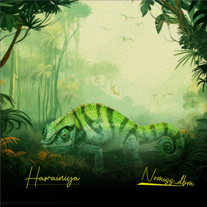 Hawainiya