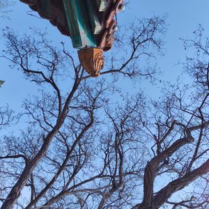 路过我的心却不定居