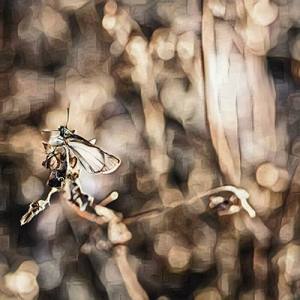 She Knows I Keep Going