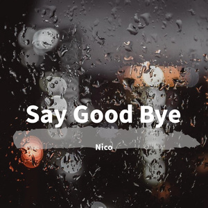 Say Good Bye（wit：PoPo）