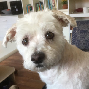 Keep on Smiling (Remix)