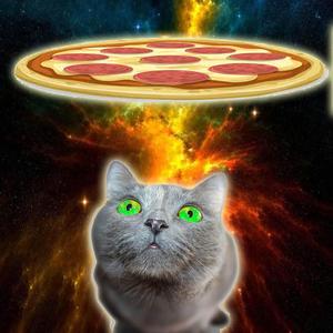 All I Wanted was a Nap Now I Got a Ton of Kids aka It was just supposed to be a nap