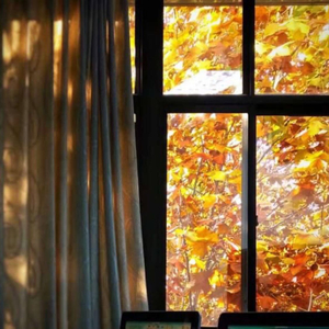 半生情（翻自 若愚）