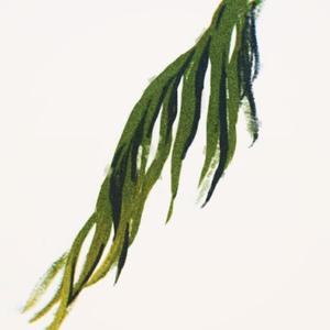 我是个年轻人，我的心情不太好