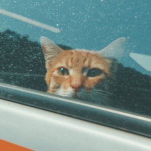 멀리 있