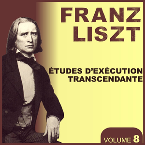 Etudes D'exécution Transcendante No. 4, in D Minor: Mazeppa