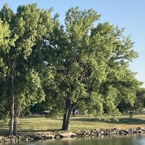 Become The Barbarian, The Barbarian Has Become (Remastered 2025)