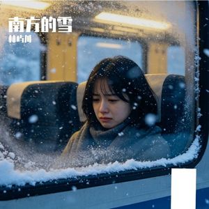 南方的雪