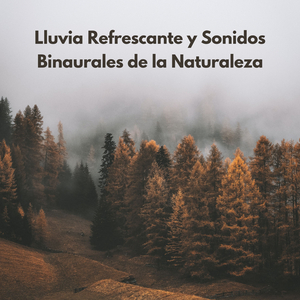 Ritmos De Ducha De Verano