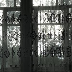 falling inn and outt