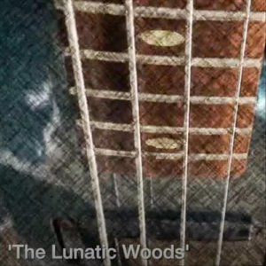 The Lunatic Woods
