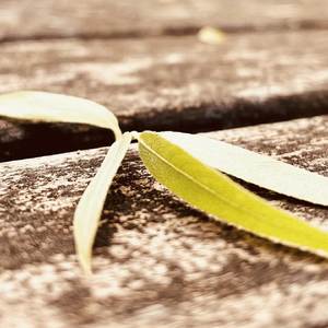 那年夏天，阳光很好（男声版）