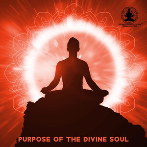 Purpose of the Divine Soul