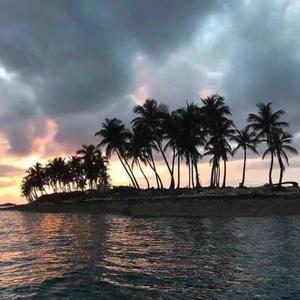 晚婚（cover 谭维维）