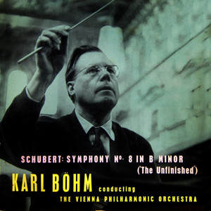 Unfinished Symphony No. 8 In B Minor: I. Allegro Moderato