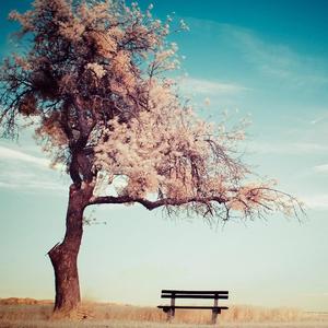 说好的一起出发