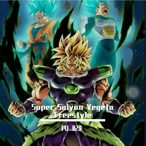 Super Saiyan Vegeta Freestyle
