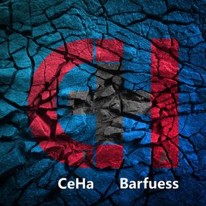 Barfuess
