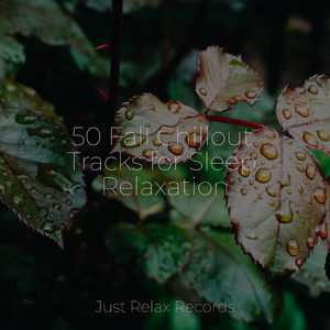 Mystic Embrace's Lament