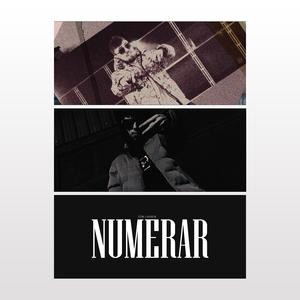 NUMERAR (feat. nimeni)