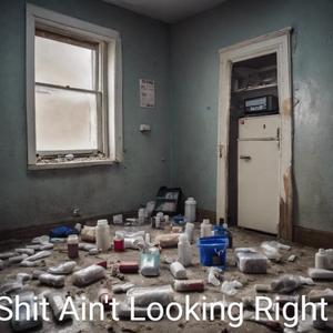 Shit Ain't Looking Right(2025)