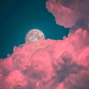 深夜のノート – Midnight Notes