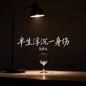 半生浮沉一身伤