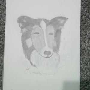 Lassie (Piano Ver.)