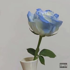蓝白色的玫瑰