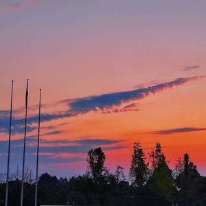 Don't be emo(Prod.By Daisy Music)