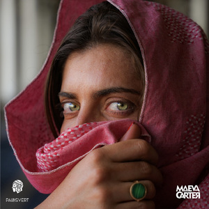 Hasta Siempre (Remix)