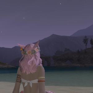 go!!!! interlude!!!!