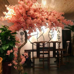 我也想低调 可实力不允许