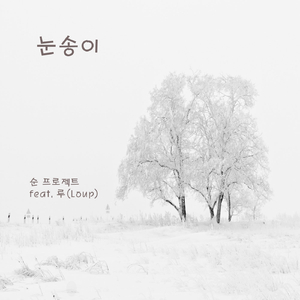 눈송이 (Feat. 루 (Loup))