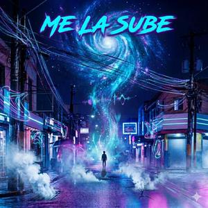ME LA SUBE