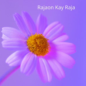 Rajaon Kay Raja
