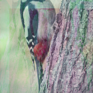 Triduum