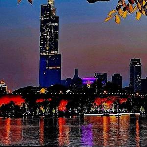 我的生命我的爱