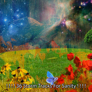 暴風雨之夜關閉